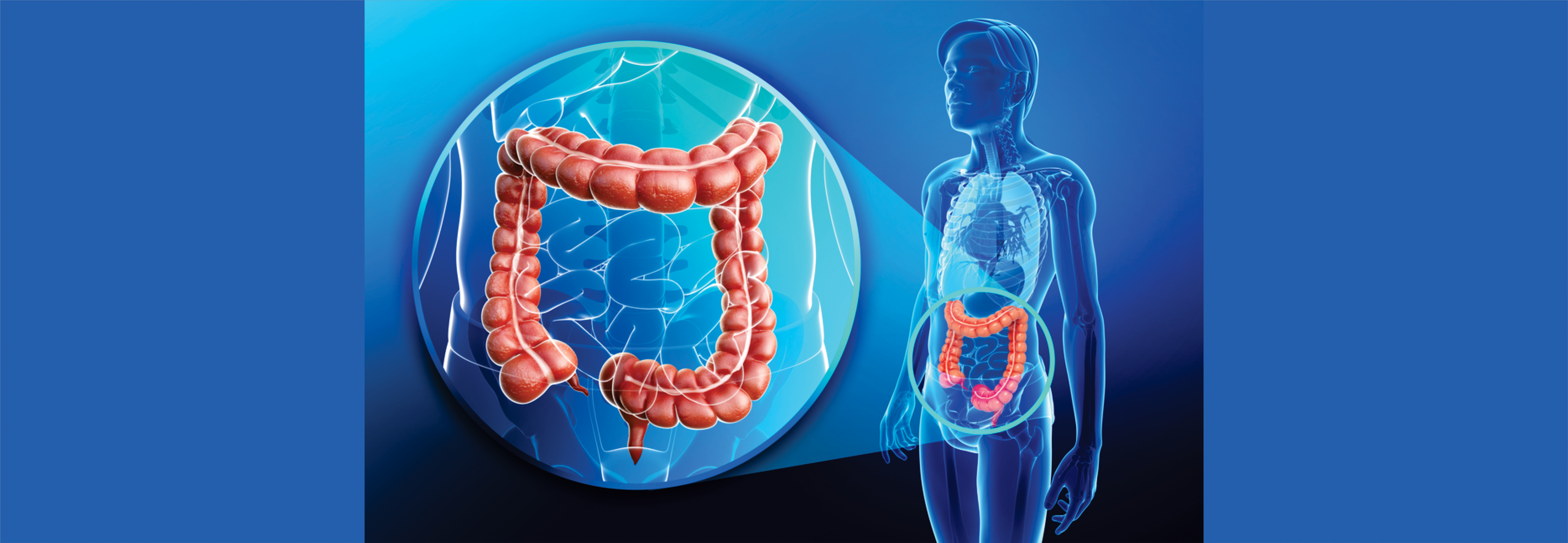 Ayurvedic Insights into Constipation – From Gut Health to Gut Harmony